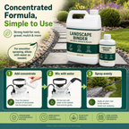 1-Gallon Landscape Rock Glue & Sprayer Kit